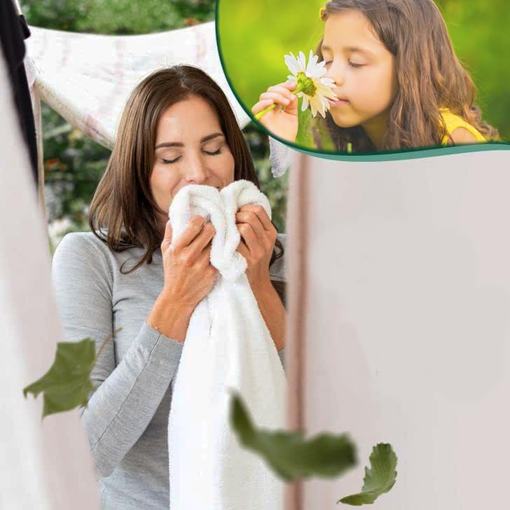200 Single Laundry Dryer Sheets(6.4"x9")w/ Easy Dispenser Box Packaging,Household Premium 4 in 1