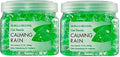 SMELLS BEGONE Odor Eliminator Gel Beads - 12 oz, Pack of 2 - Eliminates Odor in Bathrooms, Cars