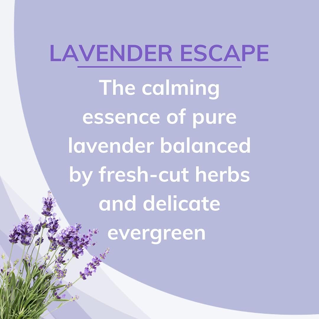 Citrus Magic Odor Absorbing Solid Air Freshener, Lavender Escape, 8-Ounce, Pack of 6