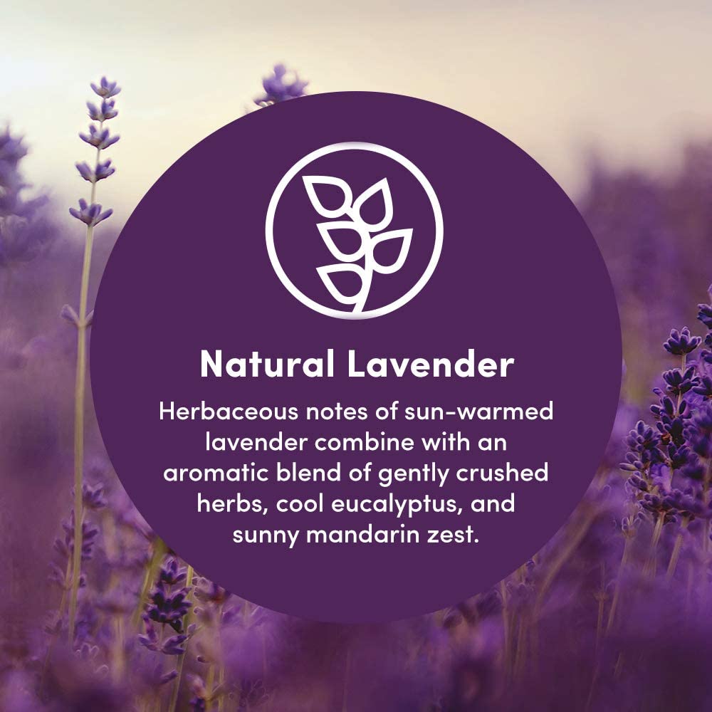 Clean Revolution Foaming Hand Soap Refill Supply Container. Ready to Use Formula. Natural Lavender
