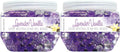 SMELLS BEGONE Odor Eliminator Gel Beads - 12 oz, Pack of 2 - Eliminates Odor in Bathrooms, Cars
