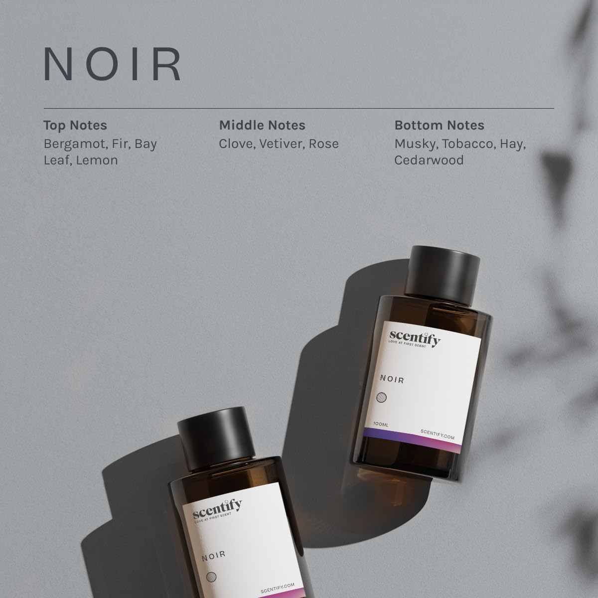 Scentify Noir Aroma Oil Refill Scent for Oil Diffusers - Bergamot, Bay Leaf, Vetiver, Cedar, Musk