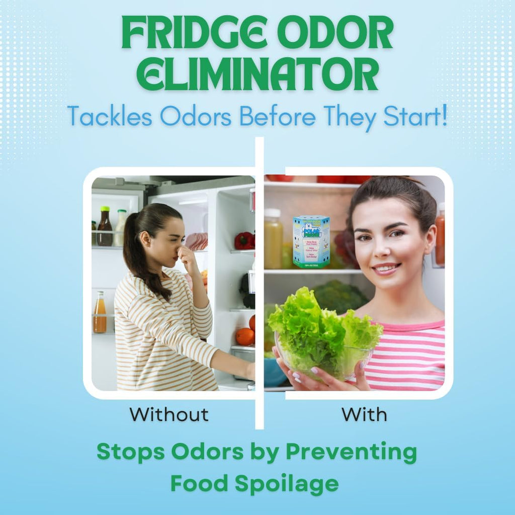 All-in-1 Refrigerator Deodorizer & Produce Saver by Polar Fresh 3 Pack – Fridge Odor Eliminator