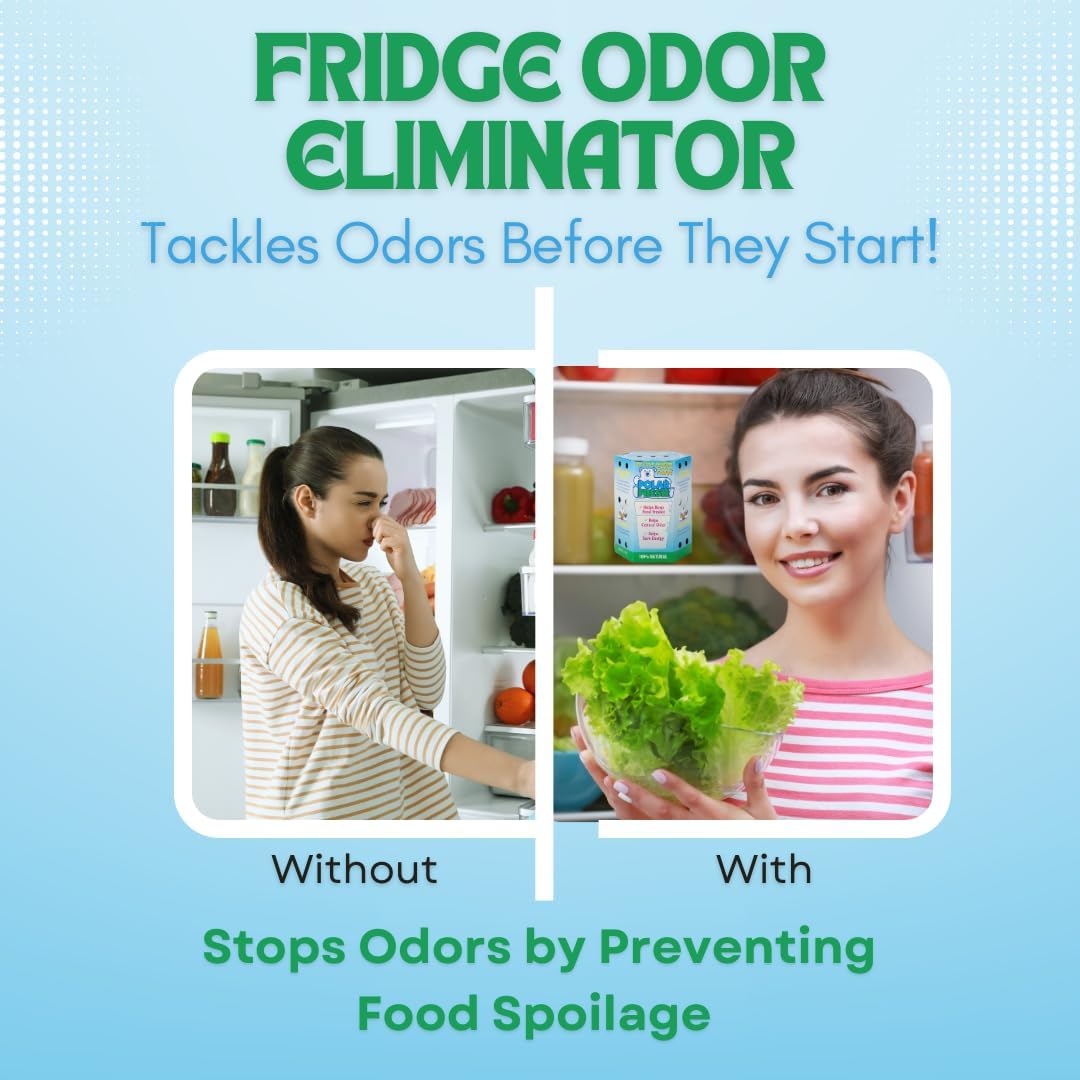 All-in-1 Refrigerator Deodorizer & Produce Saver by Polar Fresh 3 Pack – Fridge Odor Eliminator
