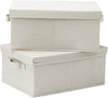 HOONEX Foldable Storage Bins with Lids, 2 Pack, Storage Boxes with Carrying Handles and Sturdy