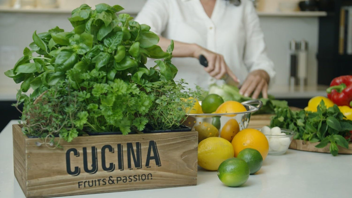 Cucina Fruits & Passion Hand Soap Refill – 1 Liter (33.8 oz) Sea Salt and Amalfi Lemon – Purifying