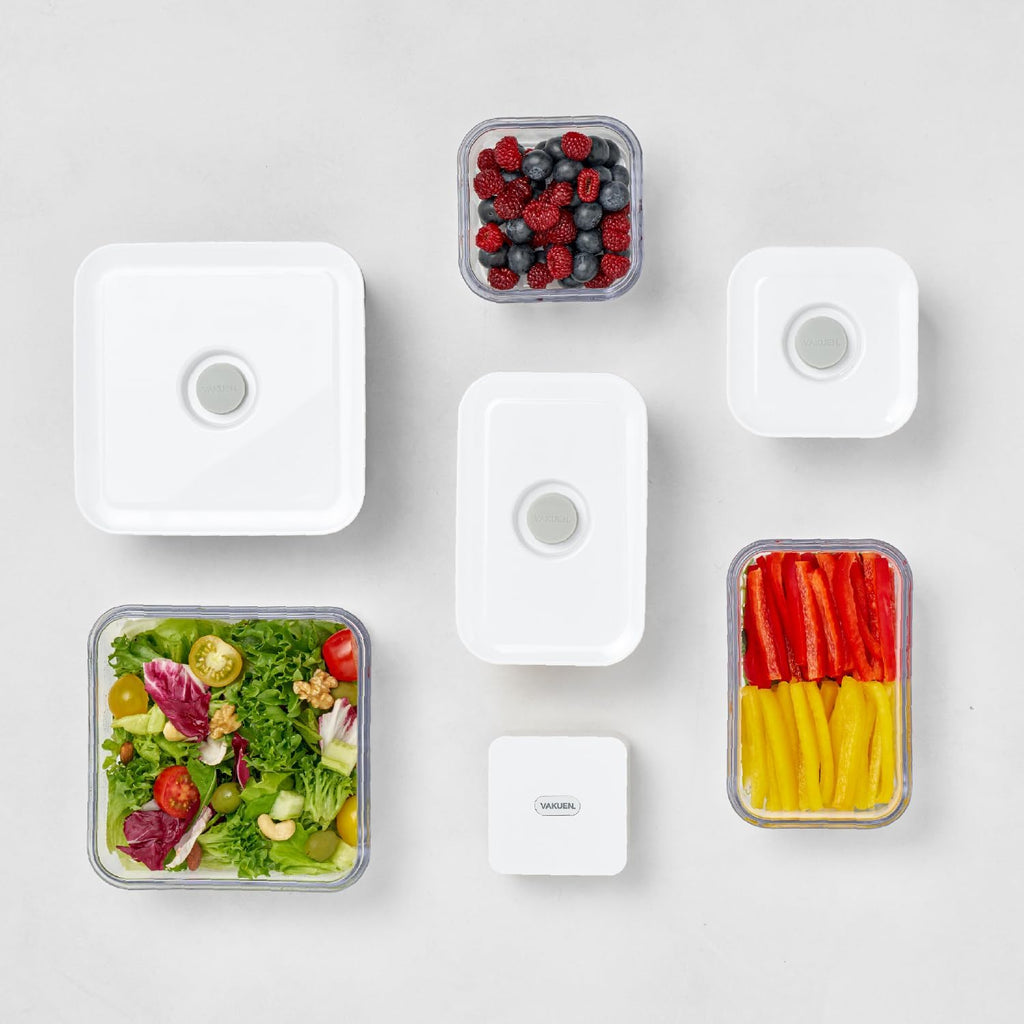 VAKUEN Premium Airtight Food Storage Containers, 2PC-SET(0.53qt), Smart One-Click Seal Lid
