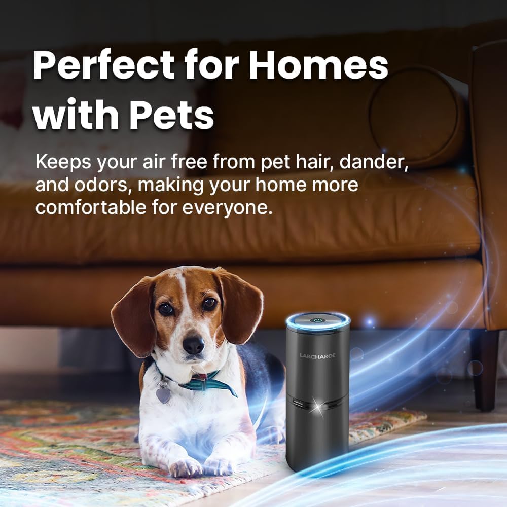 Lab Charge Small Ionic Air Purifier for Home & Bedroom – Silent HEPA Filter – Covers 250 Sq Ft