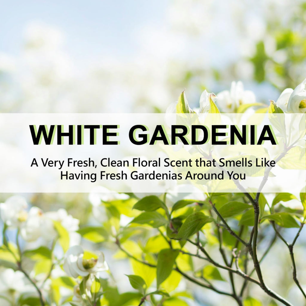 ROSE COTTAGE Large 12 Packs White Gardenia Hanging Closet Deodorizer Air Freshener Long Lasting