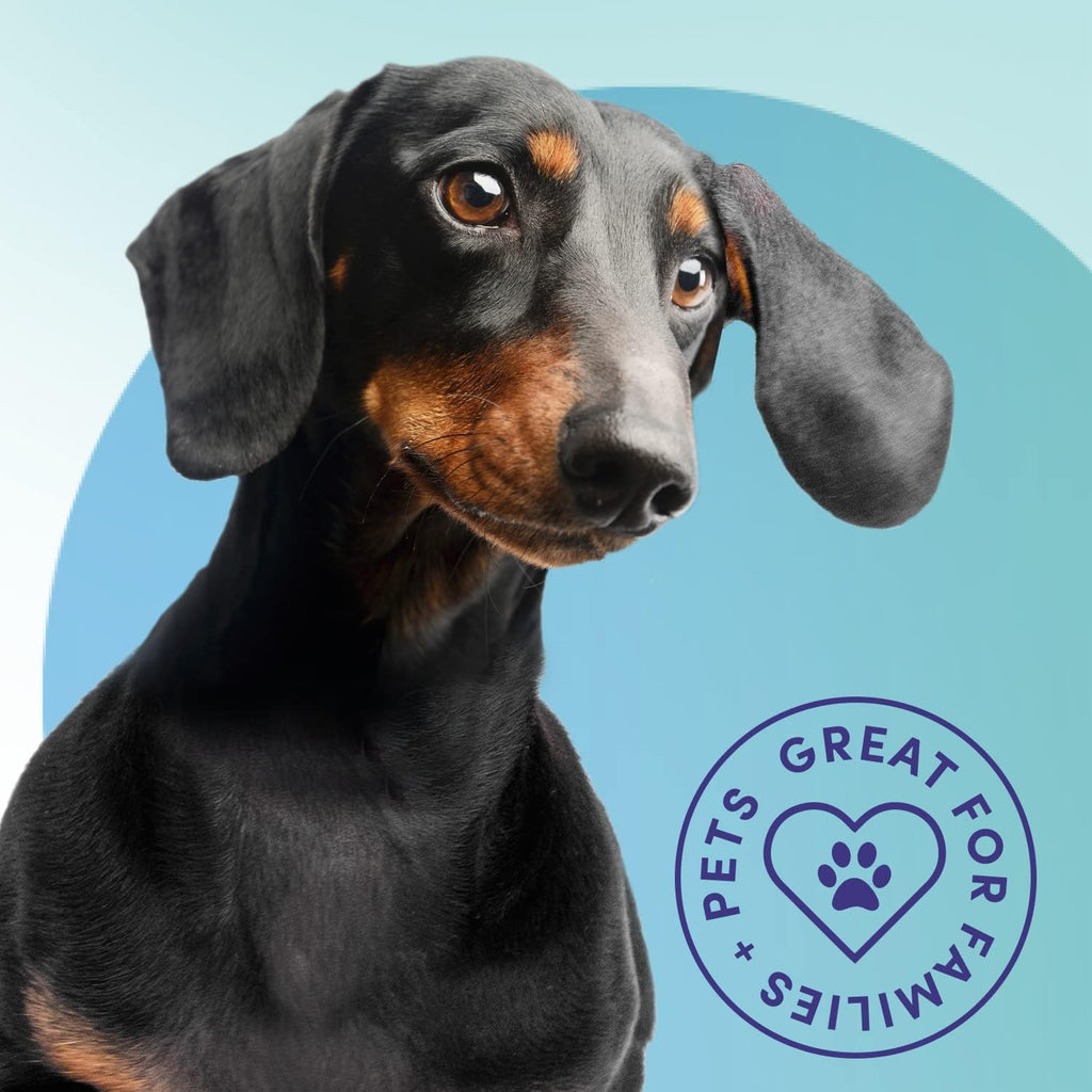 Bioesque Urine Neutralizer, Pet-Friendly Natural Enzymatic & Bacterial Formula, Instantly Breaks