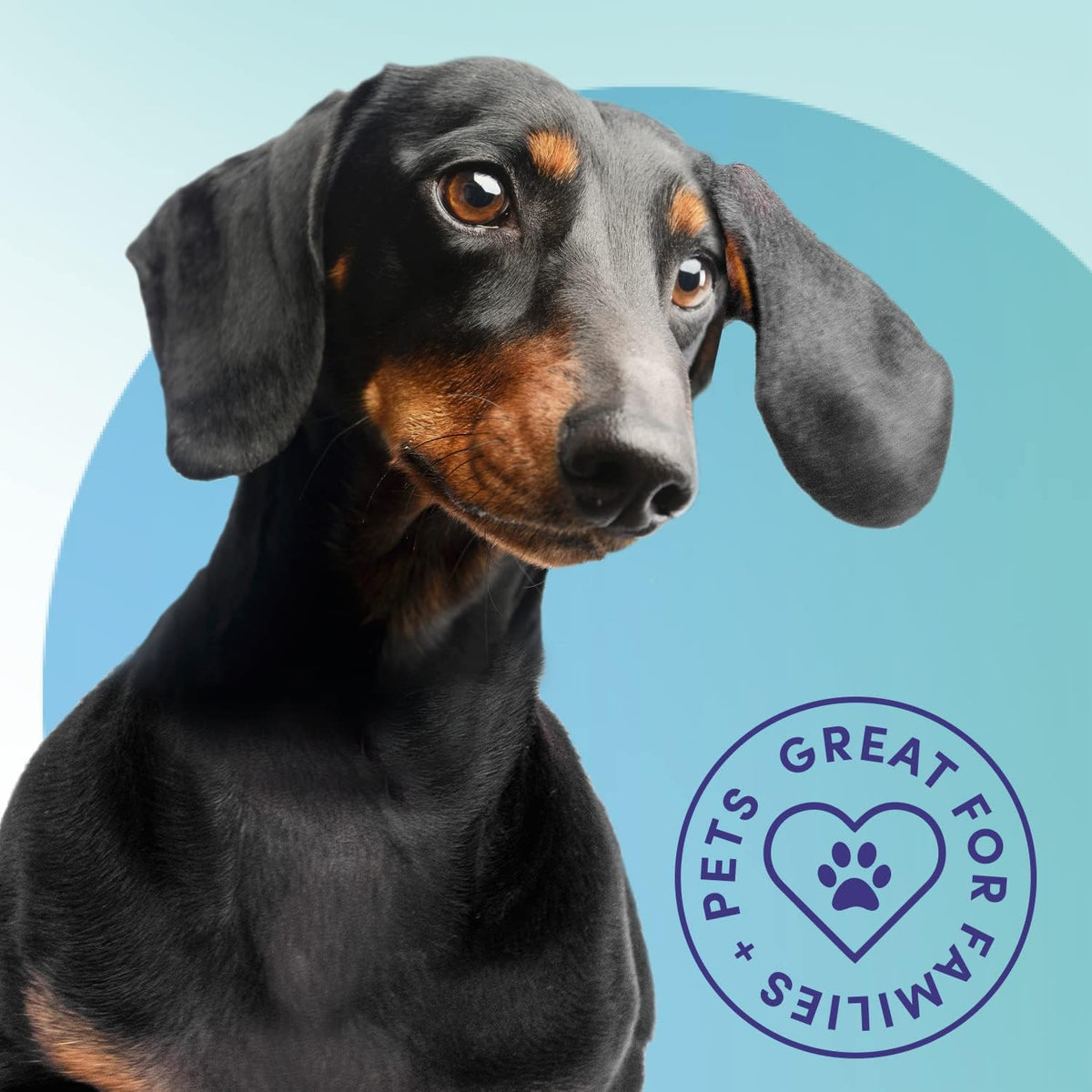 Bioesque Urine Neutralizer, Pet-Friendly Natural Enzymatic & Bacterial Formula, Instantly Breaks