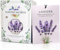 Lavender Scented Sachet Bags - 12 Pack Closet Freshener Odor Eliminator, Long Lasting Home