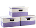 PRANDOM Collapsible Storage Bin with Lid [3-Pack] Fabric Foldable Storage Box Organizer Container