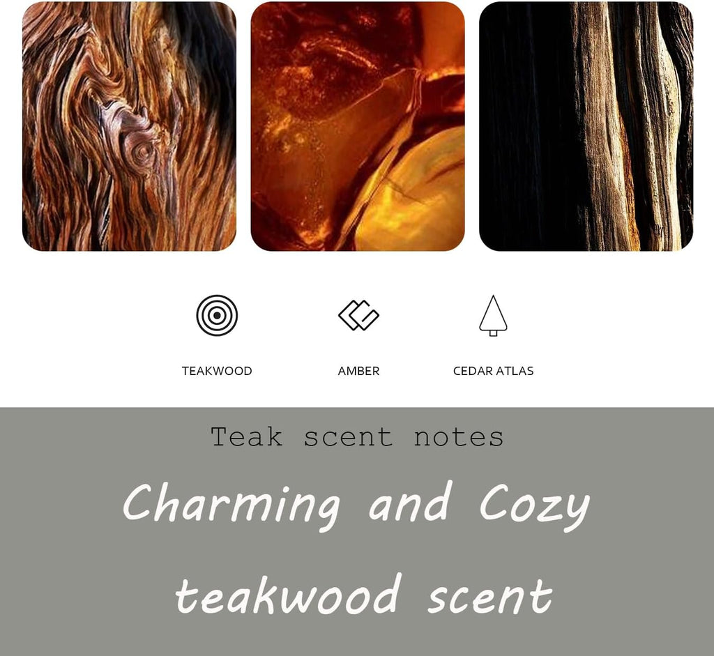 Car Air Freshener, Stone Air Freshener, Odor Eliminator, Teak Scent Refill (1 Count (Pack of 3), No