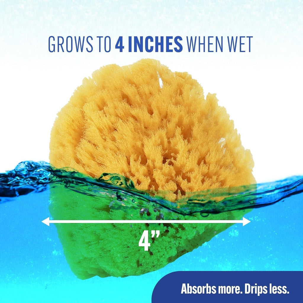 Baby Buddy Baby Bath 4in Assorted Sea Sponges, Absorbent Natural Sea Sponge, Soft on Tender Skin