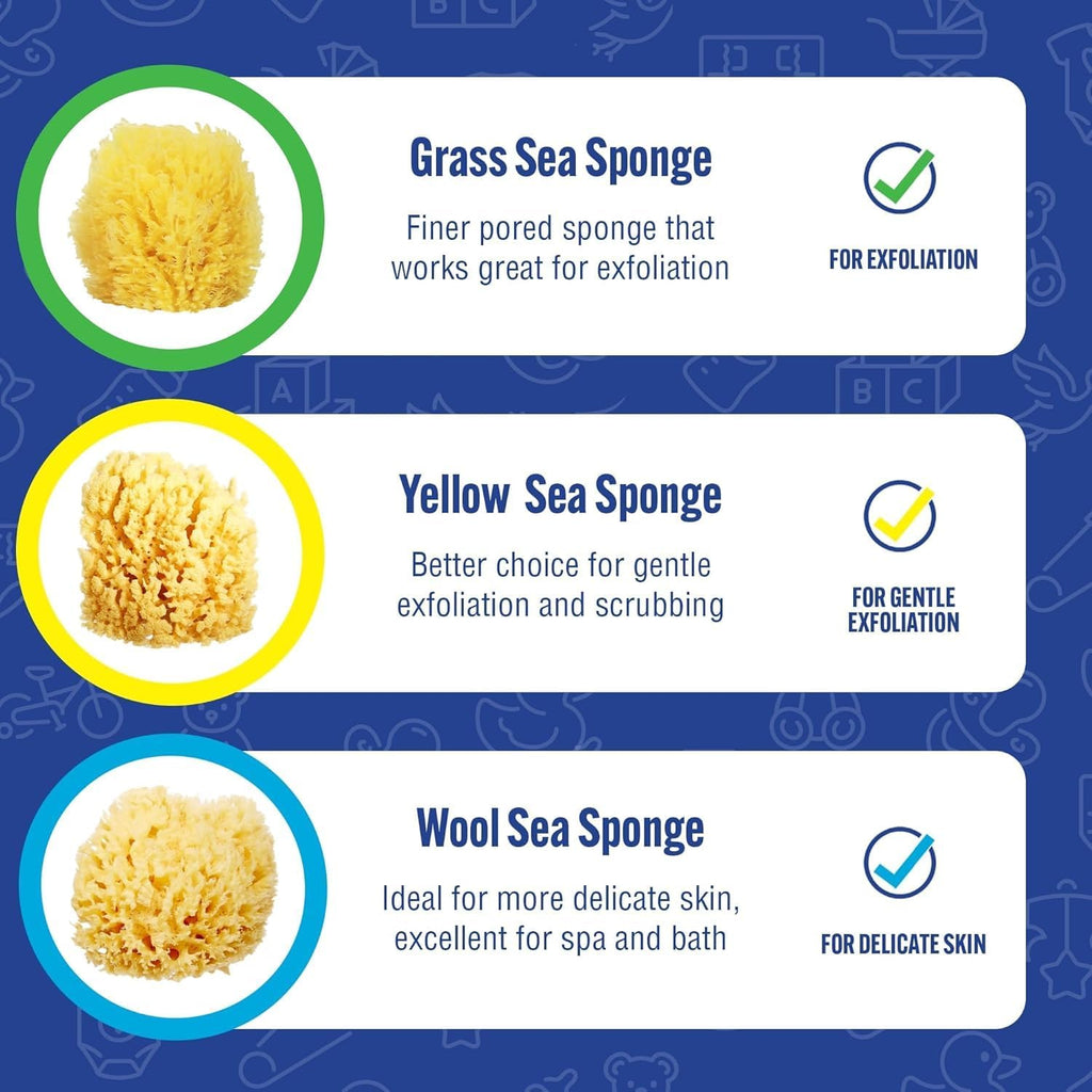 Baby Buddy Baby Bath 4in Assorted Sea Sponges, Absorbent Natural Sea Sponge, Soft on Tender Skin