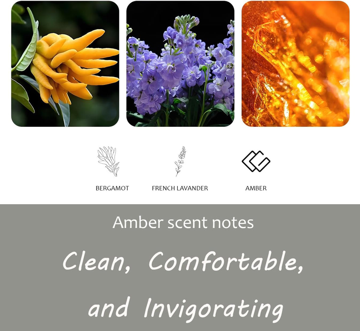 Amber Air Freshener, Stone Scent Starter Kit, Odor Eliminator - Car Visor Clip (Pack of 1 - Amber