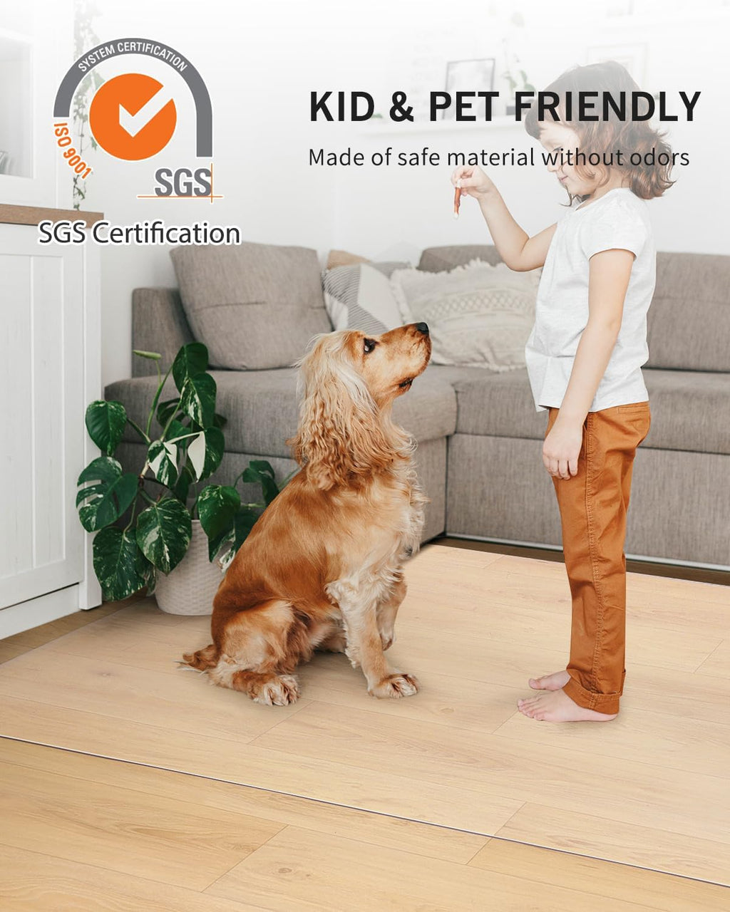 Area Mat for Hard Floor, 3'×5' Transparent PVC Area Rug for Home, Waterproof Durable Floor