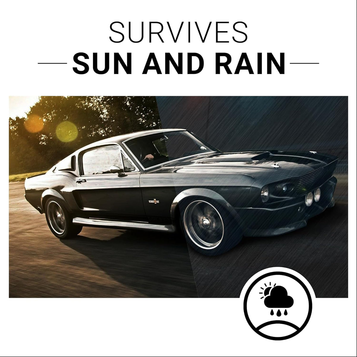 CAR GUYS Plastic Restorer | Bring Plastic, Rubber, and Vinyl Back to Life! | User Friendly Trim