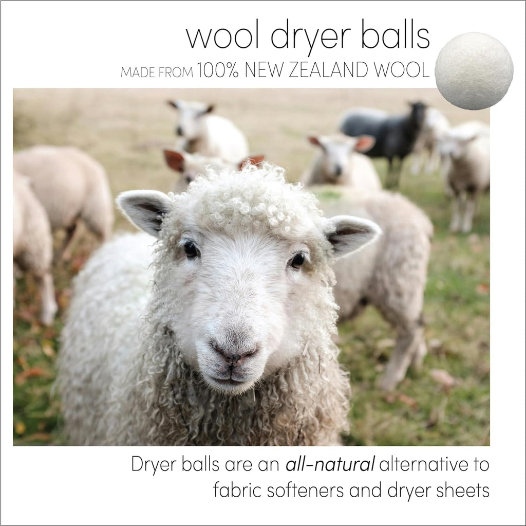 Three by Three Seattle Felt·Like·it!™ XL Wool Dryer Balls + Storage Bin: Reduce Drying Time, Static