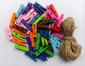 Durreus Colorful Small Clothes Pins Photos String Display with Clips Art Hanging Kit for Artwork
