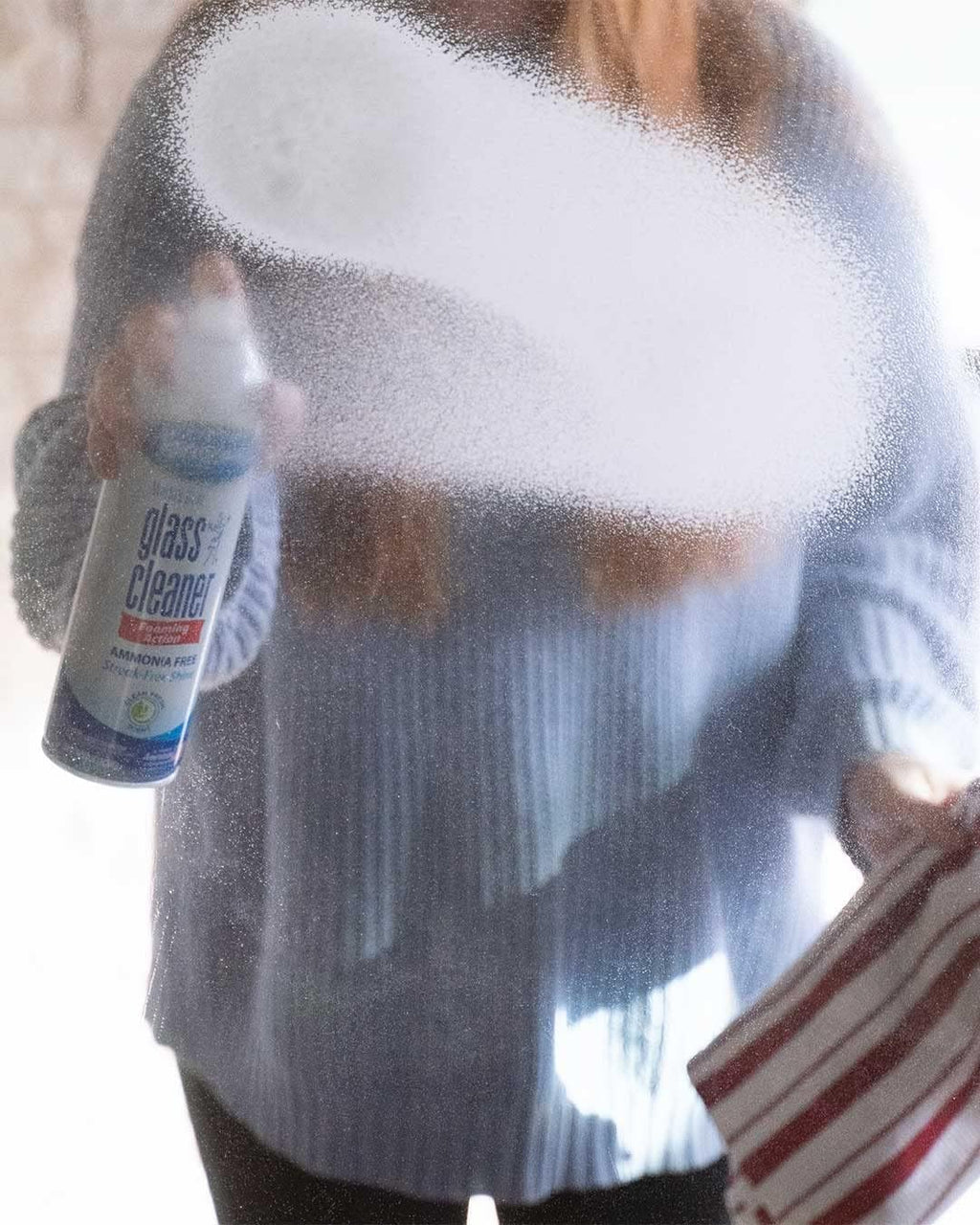 Sprayway Glass Cleaner with Foaming Spray for a Streak-Free Shine for Home and Automotive Use, 19