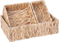 Handwoven Wicker Storage Baskets Set, Natural water hyacinth & Iron Frame | Triple Sizes (Small