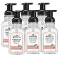 J.R. Watkins Foaming Hand Soap Pump with Dispenser, Moisturizing All Natural Hand Soap Foam