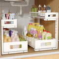 2 Pack 17IN Depth Under Sink Storage Organizer, Large 2-Tier Elegant Mesh Pull Out Shelf for