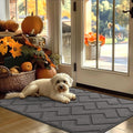 hicorfe Indoor Door Mat,Non Slip Door Mats,32"x48" Front Back Door Mat Rubber Backing,Absorbent