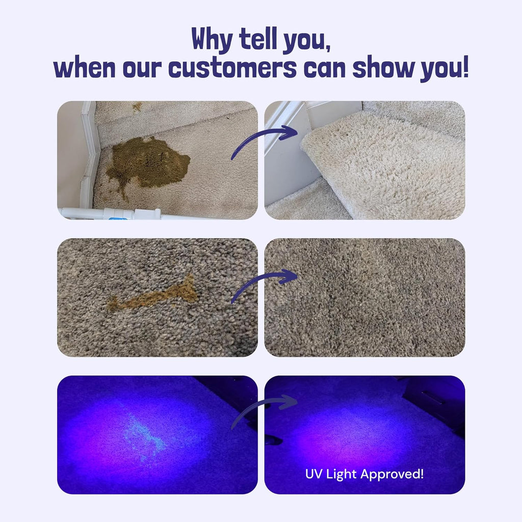 Sunny & Honey Pet Stain & Odor Miracle - 32 Fl Oz, Light Lavender Scent - Carpet Stain Remover &