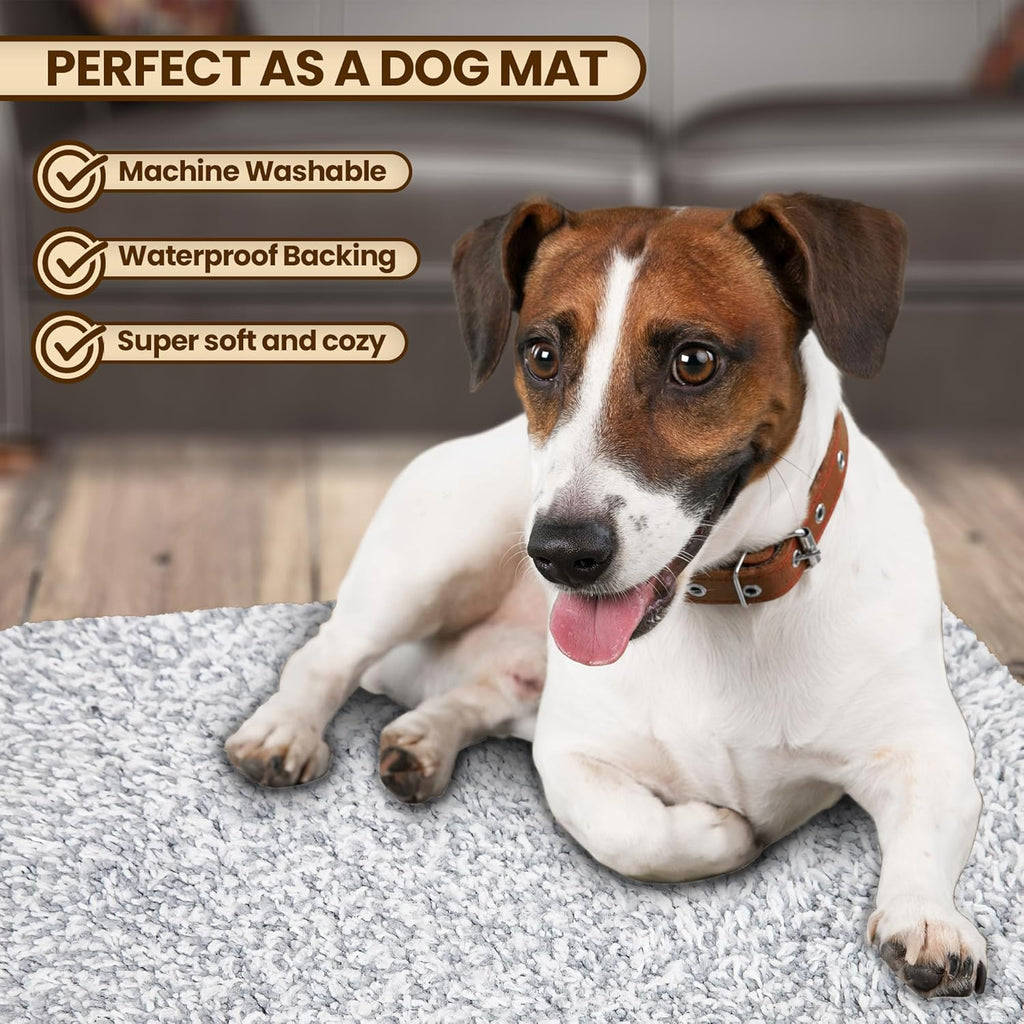 Premium Microfiber Indoor Door Mat – 36"x60" Washable Entry Mat, Non-Slip, Waterproof Backing