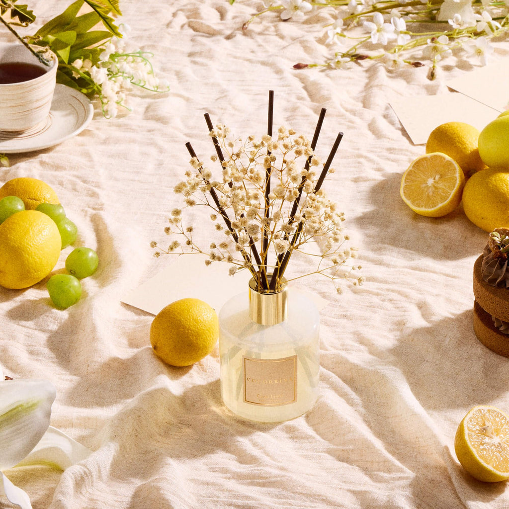 Cocorrína Reed Diffuser Set, Clean Linen 6.7 fl oz Scented Diffuser with Sticks Home Fragrance Reed
