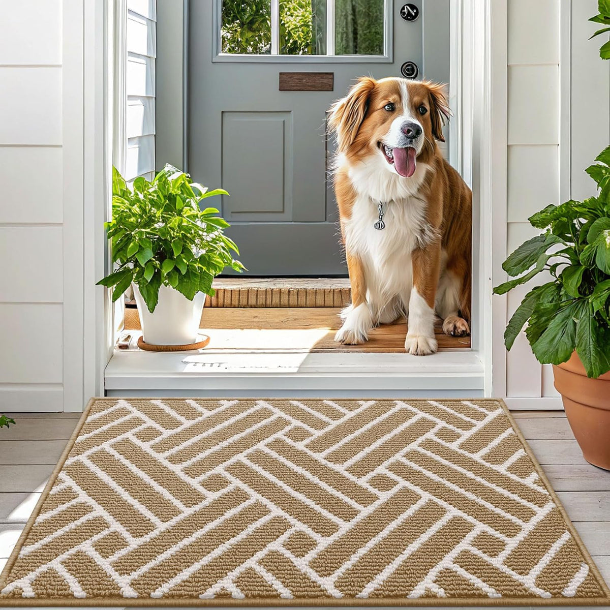 OLANLY Indoor Door Mat, 48x32 Inch, Dirt Resistant and Absorbent, Non-Slip Rubber Backing Floor