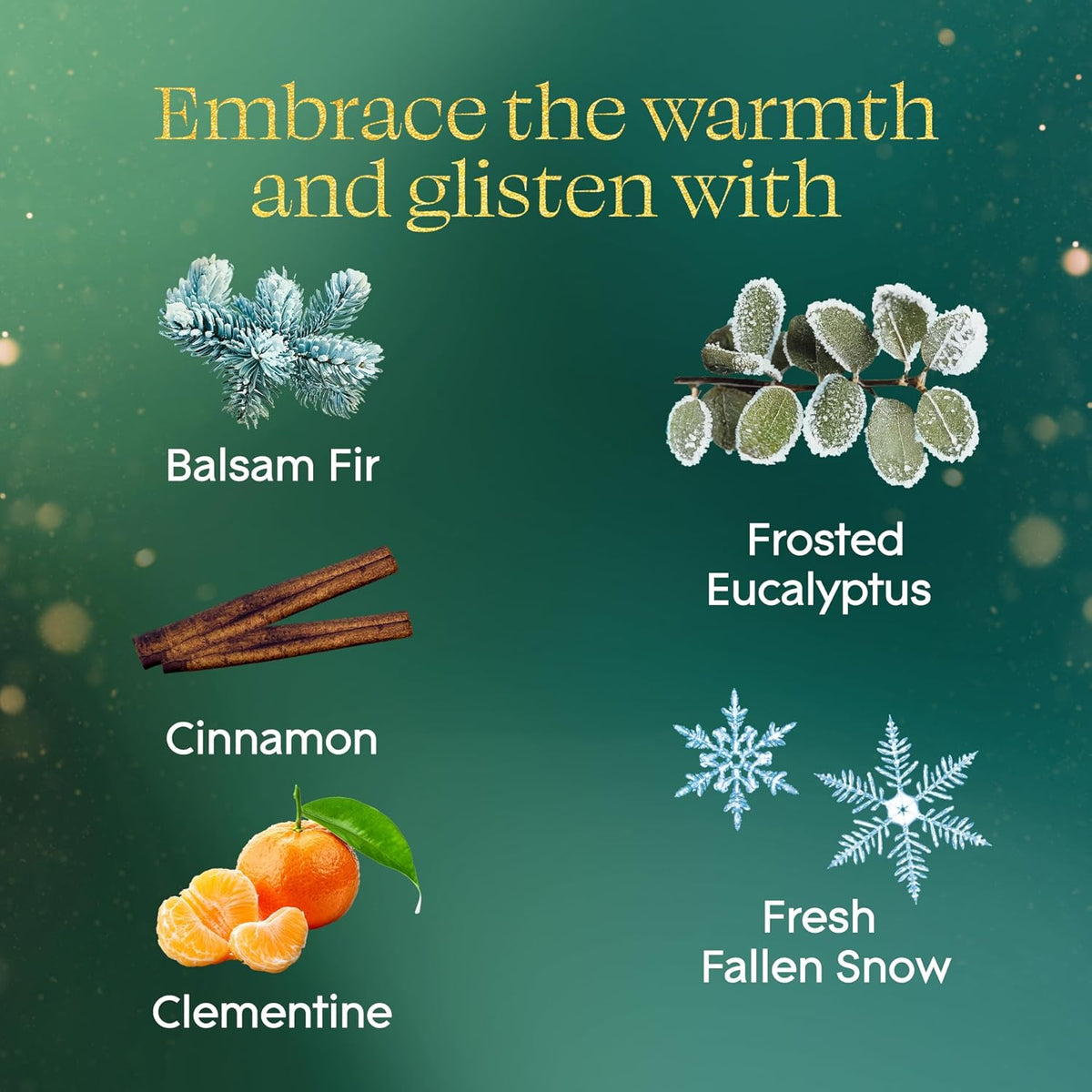Glade PlugIns Refills Air Freshener, Balsam & Spruce and Bergamot & Eucalyptus, Scented and