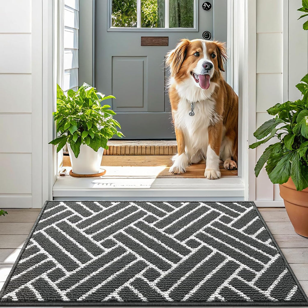 OLANLY Indoor Door Mat, 32x20 Inch, Dirt Resistant and Absorbent, Non-Slip Rubber Backing Floor