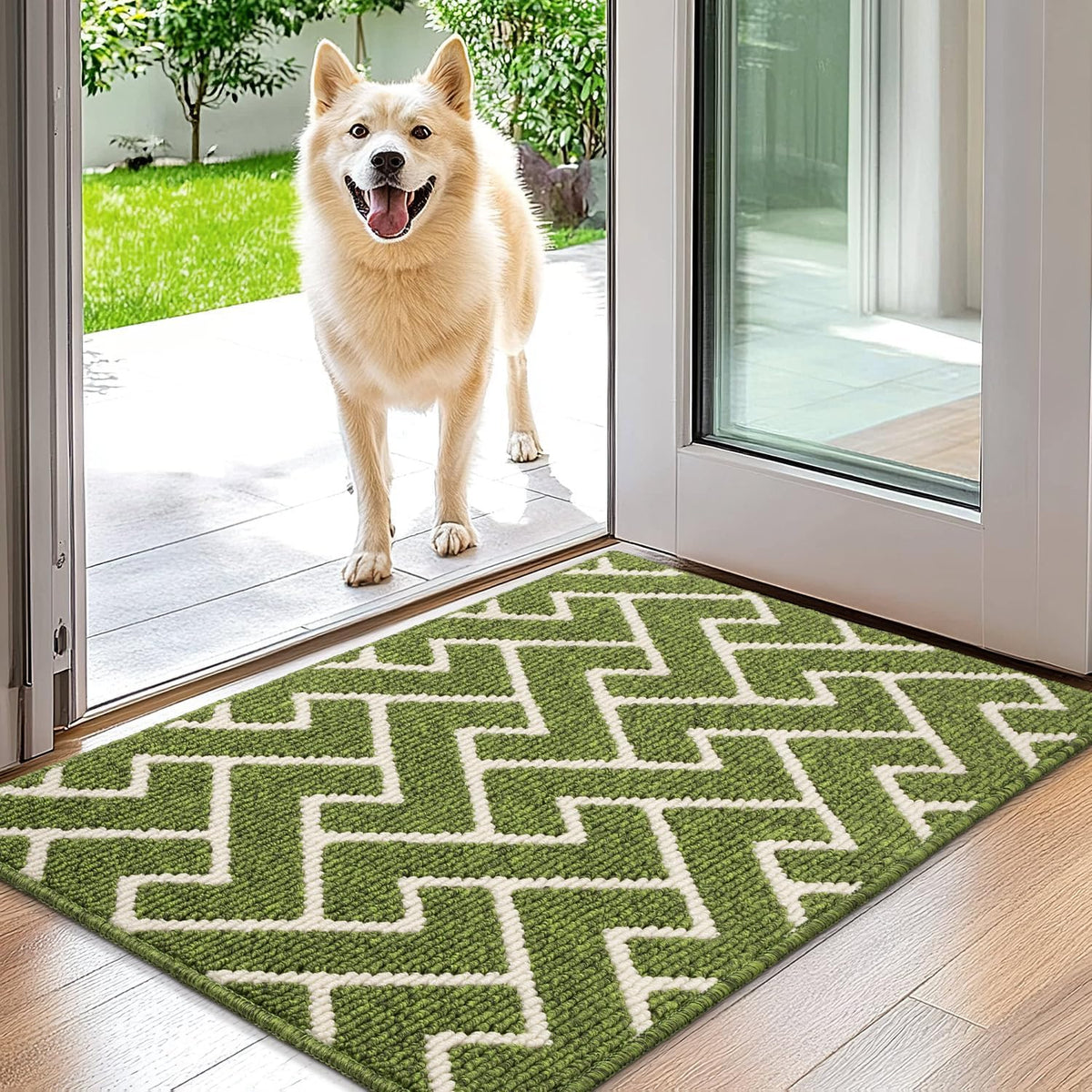 hicorfe Indoor Doormat,Front Back Door Mat TPR Backing Non Slip Mats 20"x31.5" Absorbent Resist