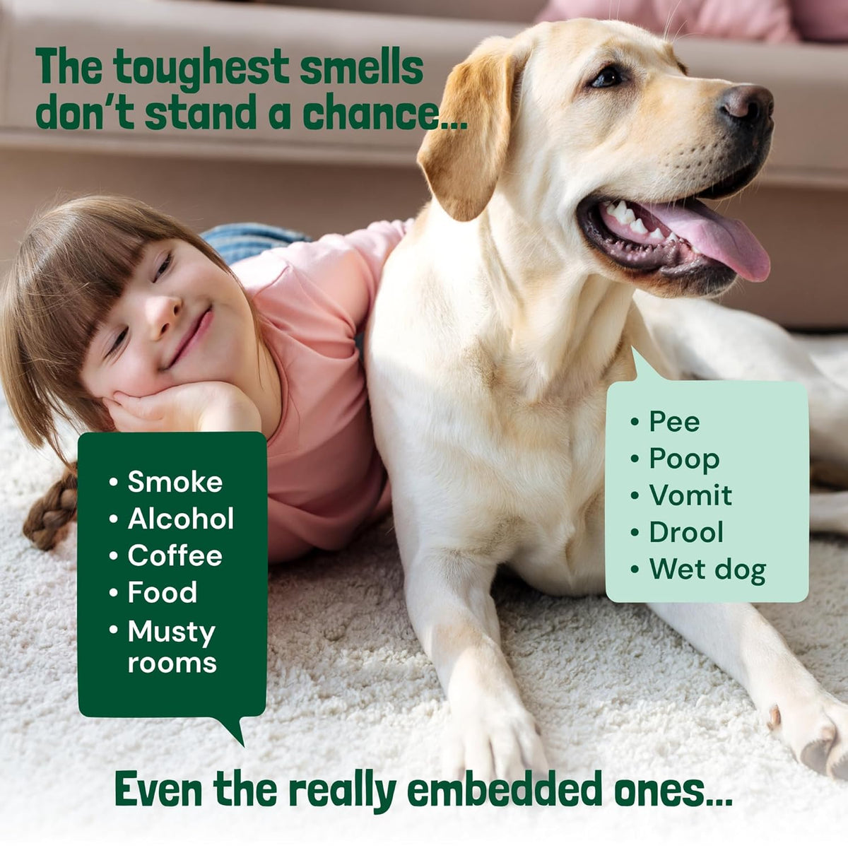 Sunny & Honey Carpet Deodorizer Powder - 20 Oz, Summer Lemonade Scent - Rug Cleaner & Carpet