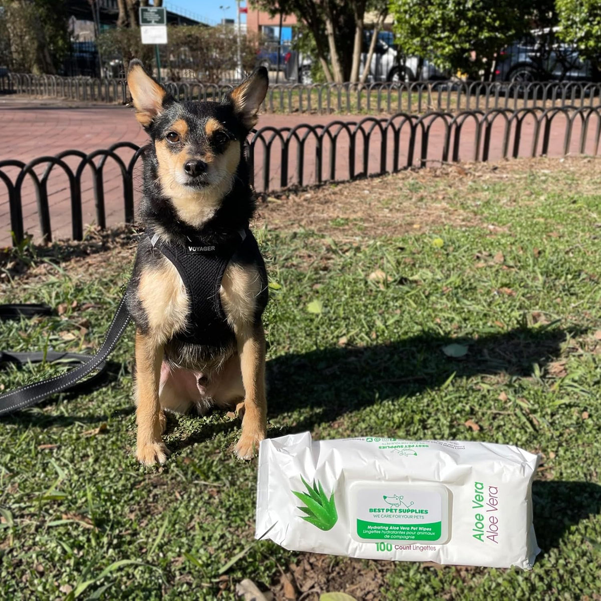 Best Pet Supplies Pet Wipes for Dogs - Dog Wipes Cleaning Deodorizing, for Coats, Ears, Paws