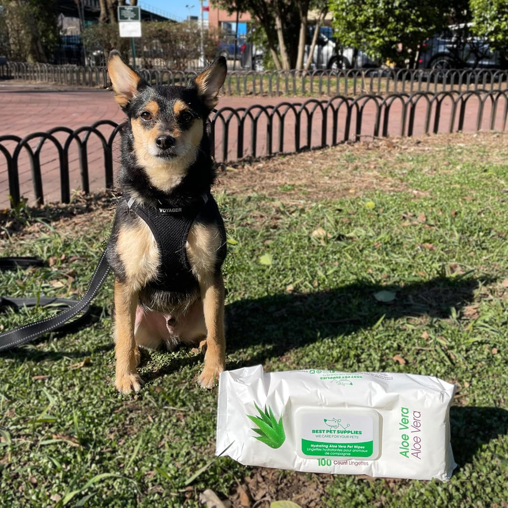 Best Pet Supplies Pet Grooming Wipes for Dogs & Cats,Deodorizer for Coats & Dry, Itchy, or