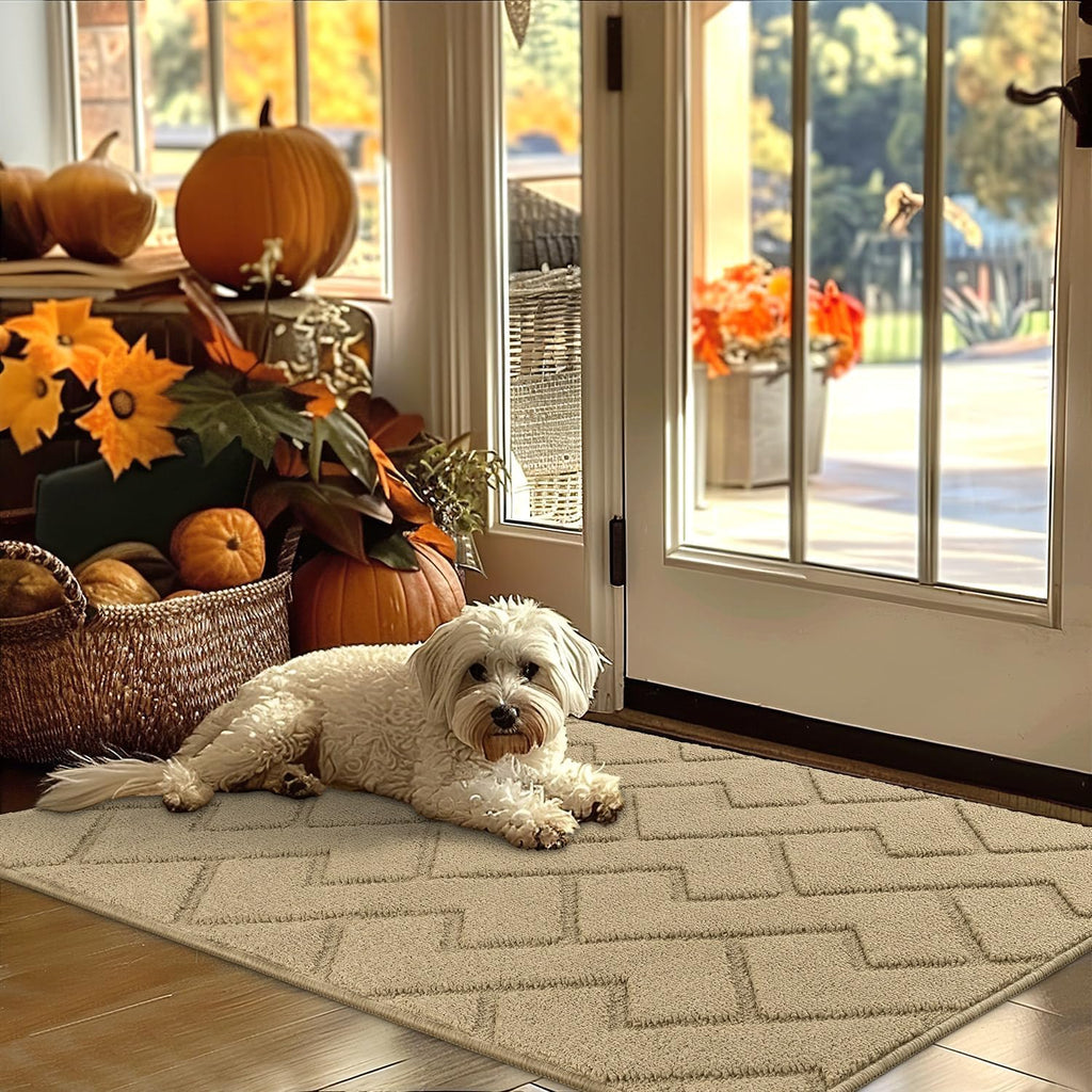 hicorfe Indoor Door Mat,Non Slip Door Mats,32"x48" Front Back Door Mat Rubber Backing,Absorbent