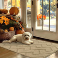 hicorfe Indoor Door Mat,Non Slip Door Mats,32"x48" Front Back Door Mat Rubber Backing,Absorbent