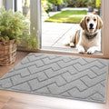 hicorfe Indoor Doormat,Front Back Door Mat TPR Backing Non Slip Mats 20"x31.5" Absorbent Resist