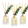 COCORRÍNA Eucalyptus Reed Diffuser Set of 3 - Eucalyptus & Moss, Clean Linen, Ocean Mist Scents