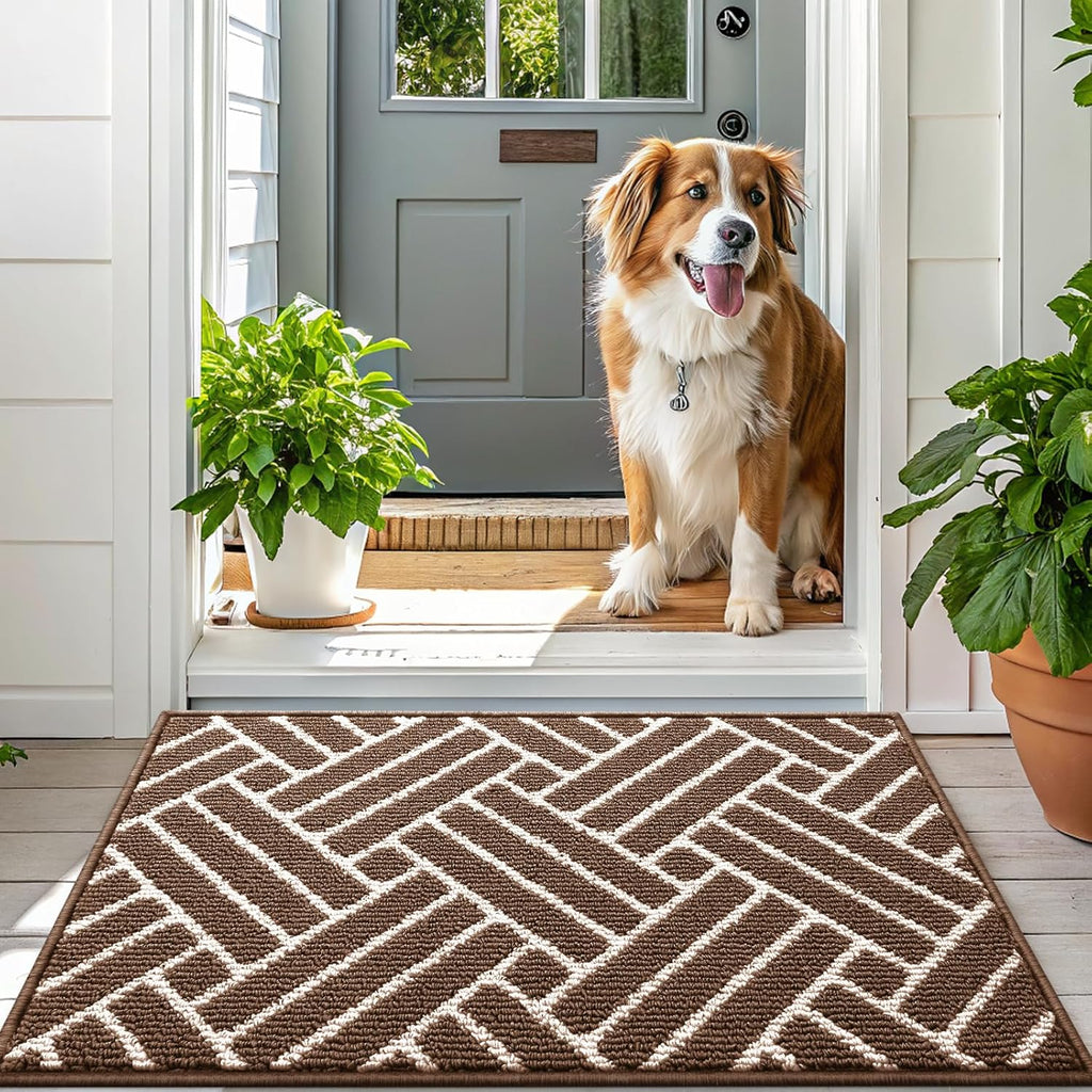 OLANLY Indoor Door Mat, 48x32 Inch, Dirt Resistant and Absorbent, Non-Slip Rubber Backing Floor