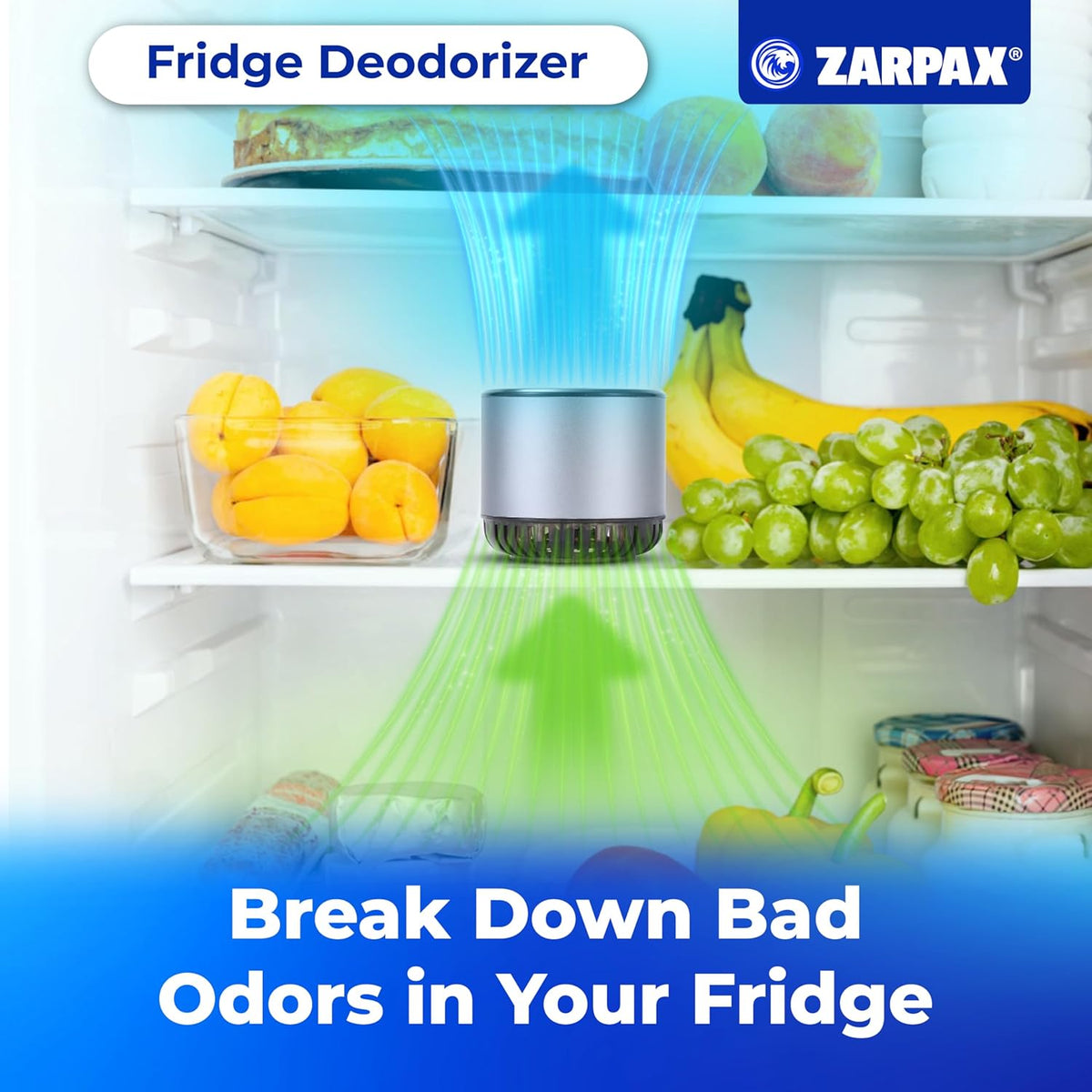 Refrigerator Deodorizer - Double Pack - Fridge Smell Eliminator Lasts for 10 Years -18ft3 Capacity