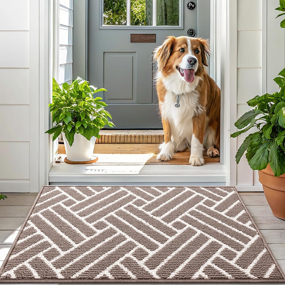 OLANLY Runner Indoor Door Mat, 47x23 Inch, Dirt Resistant and Absorbent, Non-Slip Rubber Backing