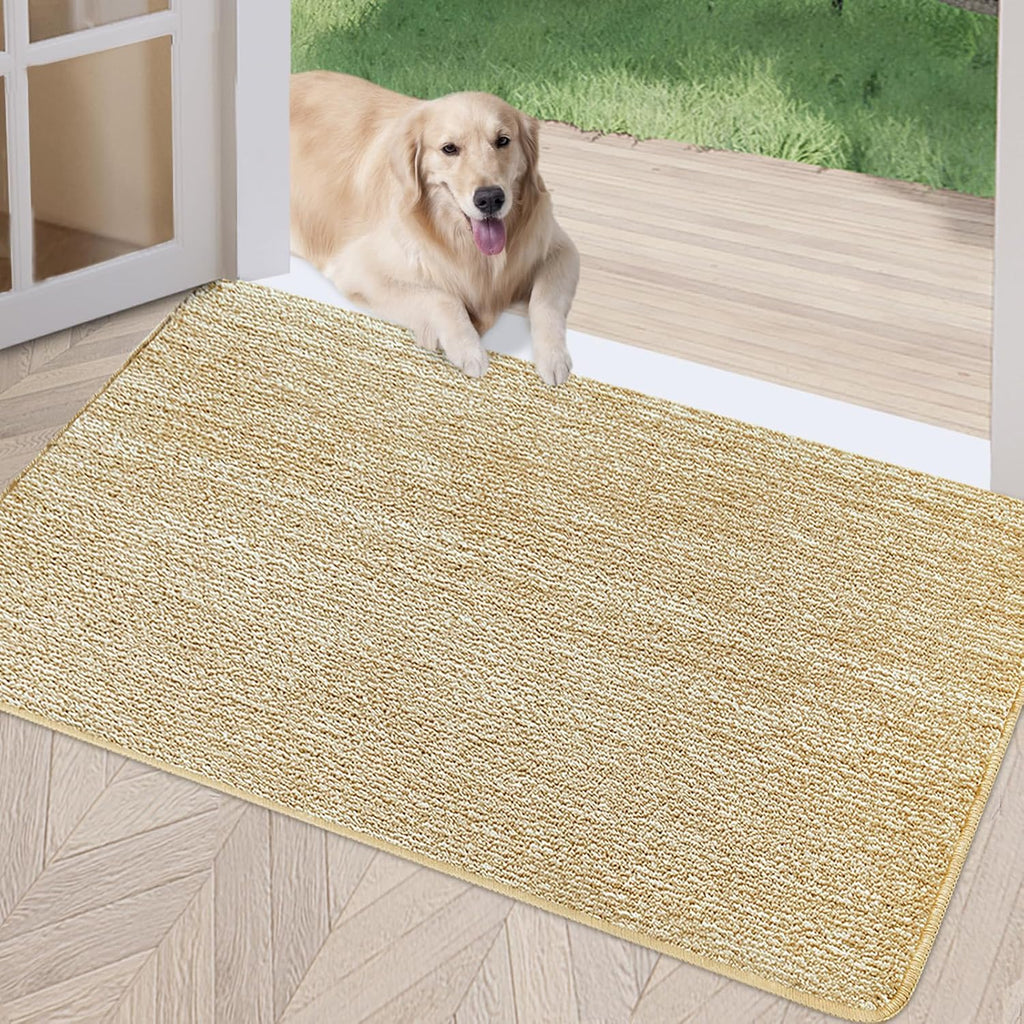 REFETONE Indoor Doormat, Front Door Mat 20"x32" Absorbent Rubber Backing Non Slip Back Door Mats