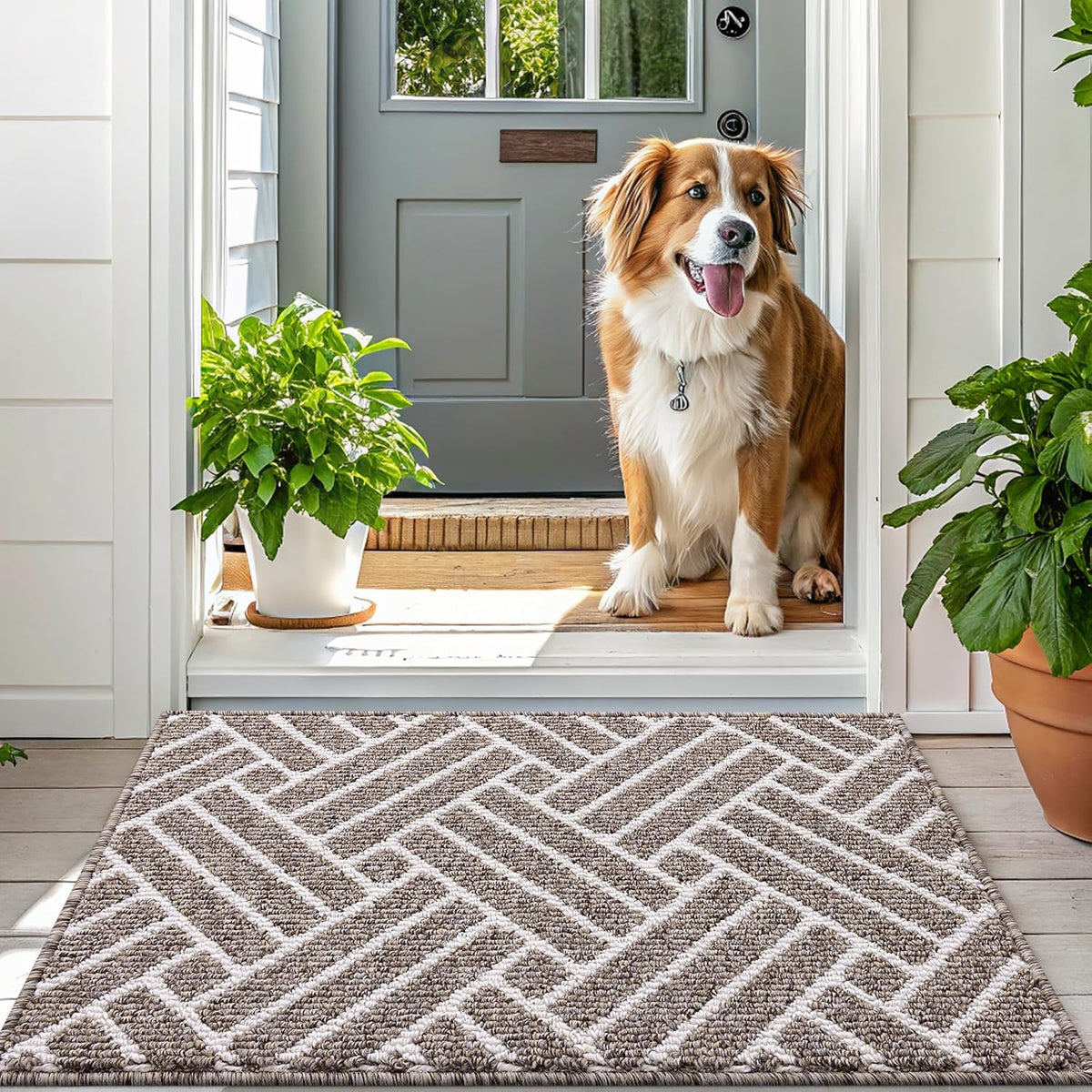 OLANLY Large Indoor Door Mat, 59x35 Inch, Dirt Resistant and Absorbent, Non-Slip Rubber Backing