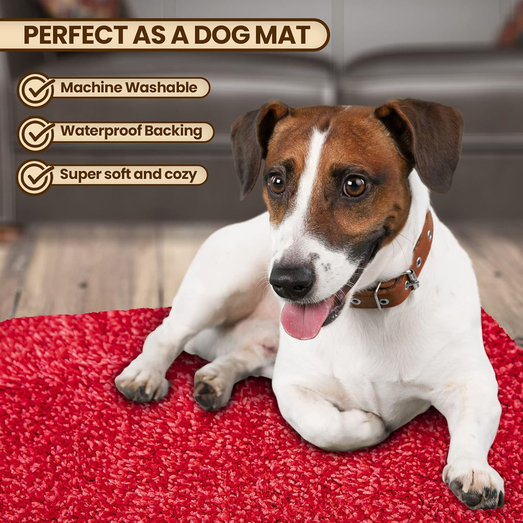 Premium Microfiber Indoor Door Mat – 20"x30" Washable Entry Mat, Non-Slip, Waterproof Backing